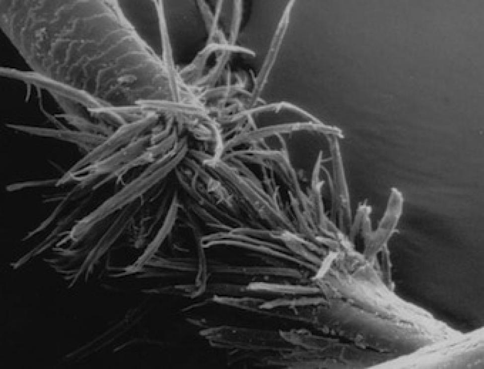 Trichology and You Trichology and You